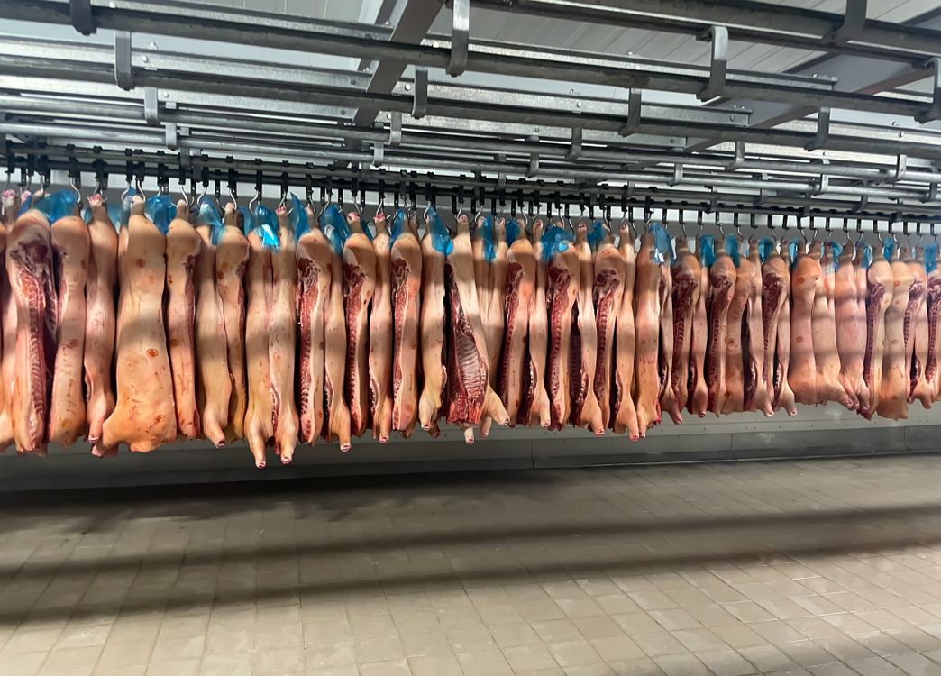 Groupe froid chambre froide négative